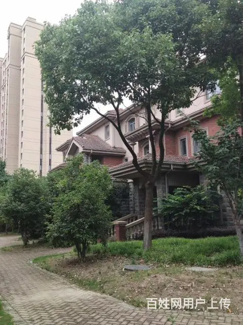 恐龙园旁美林湖别墅 - 图片 6