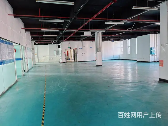 (老板本人）星沙标准园区精装修厂房办公楼出租  5572 - 图片 8