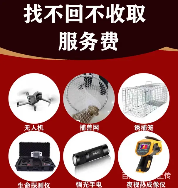 猫咪走丢了如何找回来洛阳专业找猫团队真的能找到吗 - 图片 7