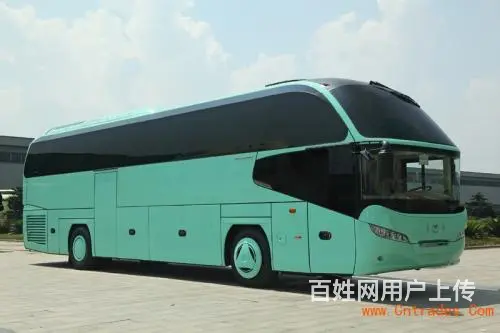 昌吉宠物托运（猫狗）活体宠物邮寄快递（2022宠物运输） - 图片 1