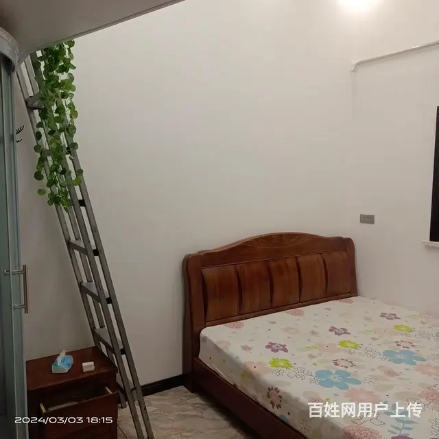 租房/出租 - 图片 3