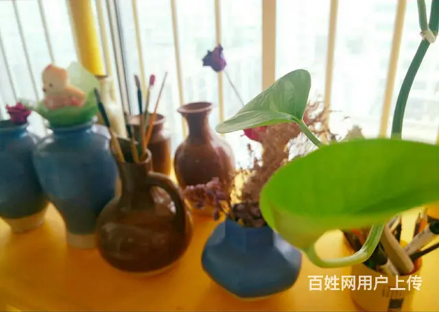 临沂暑假素描零基础学习班|美术专业培训中心 - 图片 6