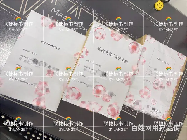 投标文件（服装＋工程＋采购标）审计报告＋工程预算 - 图片 6