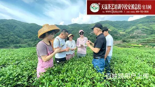 学茶艺培训去哪学?10月11日天晟中国茶学系统培训 - 图片 7