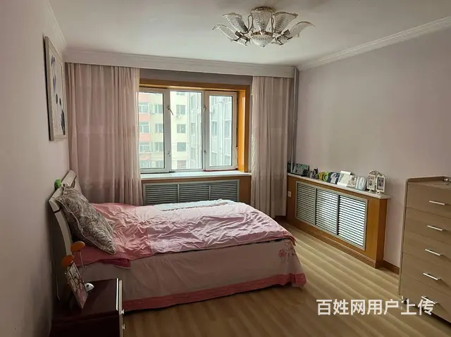新阳胡同尼龙小区 普通住宅1厅 中等装修 - 图片 5