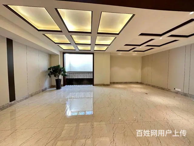 捡漏外滩   1带2层 下叠 共四层 带车位 赠花园 - 图片 11