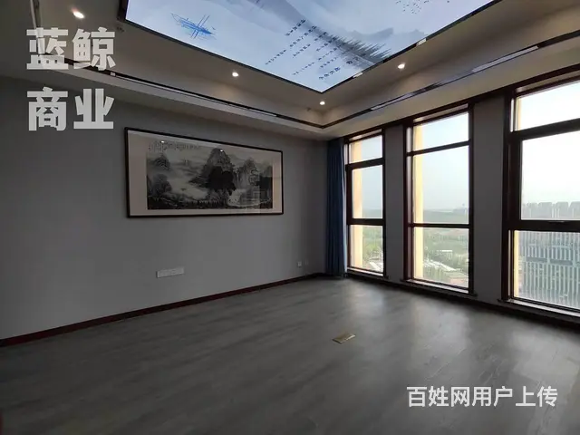 金龙湖周边 宜家附近 地铁直达 - 图片 4