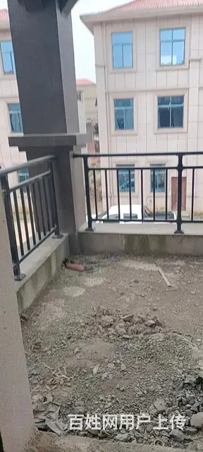 塘洲镇闲置毛坯别墅 - 图片 2