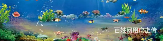 昆明专业鱼缸清洗，鱼缸修复，鱼缸定制，鱼缸搬家 - 图片 4