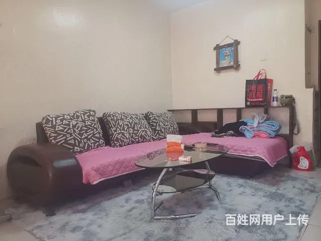 【搞定了！】重工一室一厅  家具家电齐全  拎包入住 - 图片 1