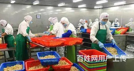 长期招收赴新加坡劳务人员 - 图片 1