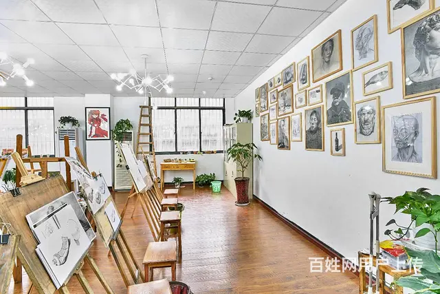 杭州学画画，杭州成人美术培训，素描油画插画随到随画 - 图片 2
