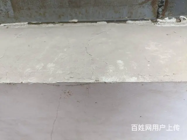 商丘猫丢了怎么办 专业寻猫寻狗，宠物救援实地寻找 - 图片 2