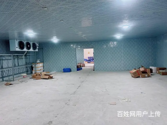 （老板本人）开福区捞刀河街道自建仓库➕冷冻库出租6856 - 图片 4