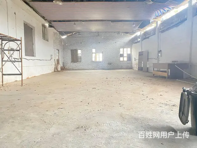 (房东直租)黄金园，黄桥大道1300平厂房优价出租，可分租 - 图片 4