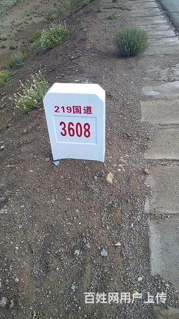 寻狗启示 - 图片 3
