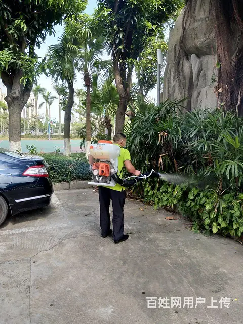 珠海白蚁防治  杀虫 灭鼠 灭蟑螂 灭跳蚤 红火蚁 - 图片 2