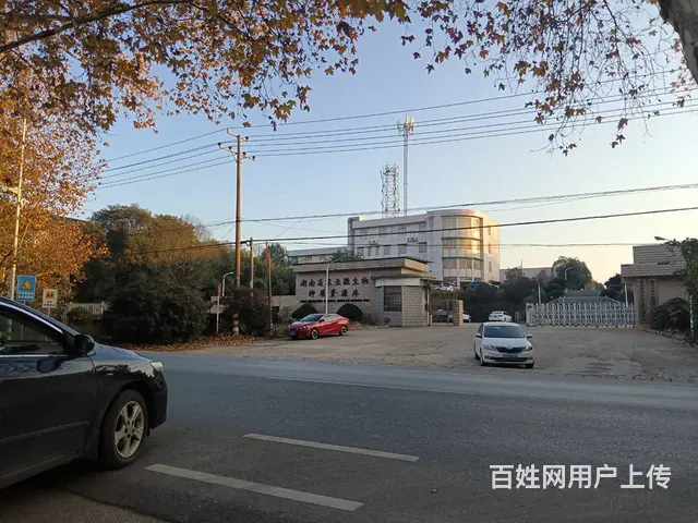 （老板本人）宁乡G319国道标准厂房直租  5713 - 图片 1