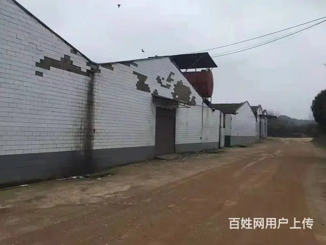 （老板本人）岳麓区黄桥大道附近工业园厂房仓库房东出租5753 - 图片 7