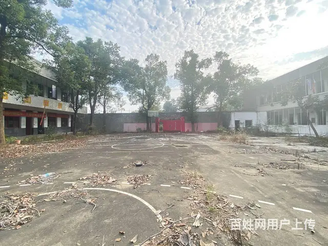 (房东直租)白箬铺319国道占地6亩场地，学校，可随时改厂房 - 图片 3