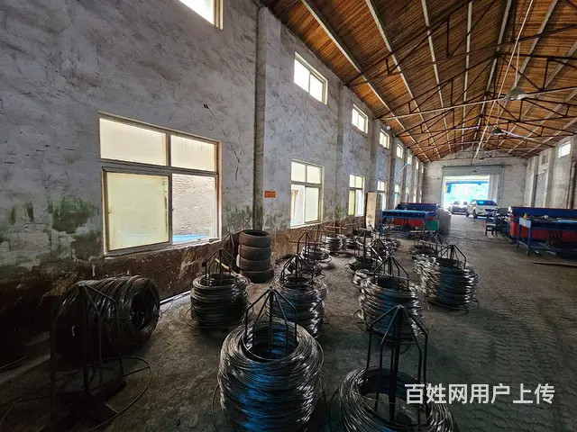 尚湖冶塘大河村单层非标准厂房530平方，无公摊面积，高度7米 - 图片 6