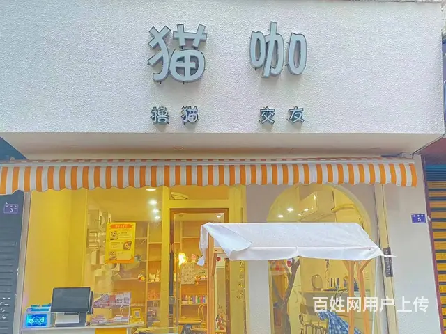 乐至县南塔街道蟠龙街50平猫咖转让 - 图片 1