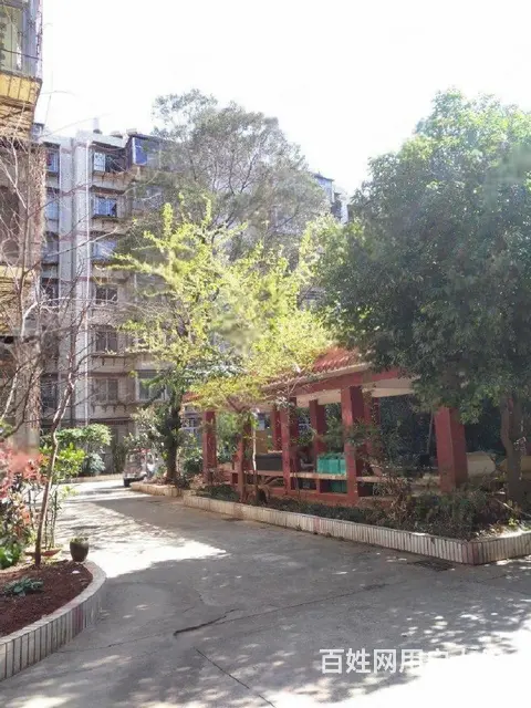 吴井路邮运小区精装3房 南北向 - 图片 10
