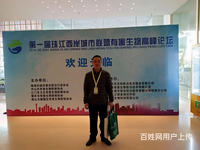 珠海白蚁防治  杀虫 灭鼠 灭蟑螂 灭跳蚤 红火蚁 - 图片 3