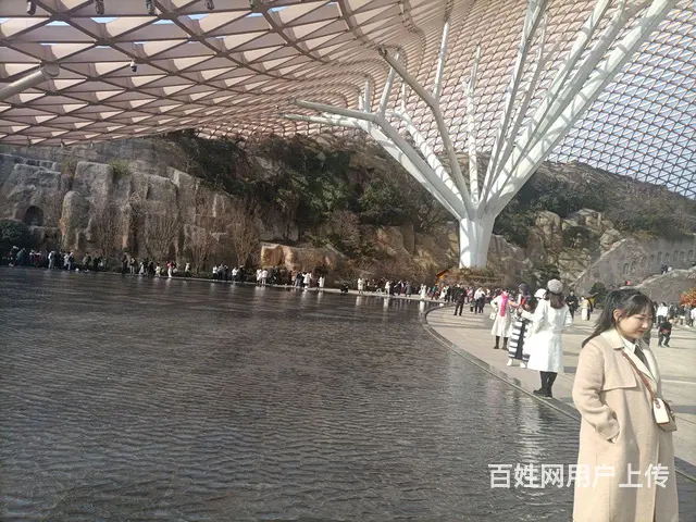 寻找生活伴侣 - 图片 3