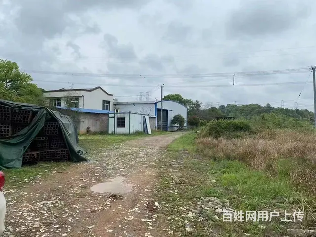 （房东直租）开福区沙坪500平厂房带2000平土地出租 - 图片 7
