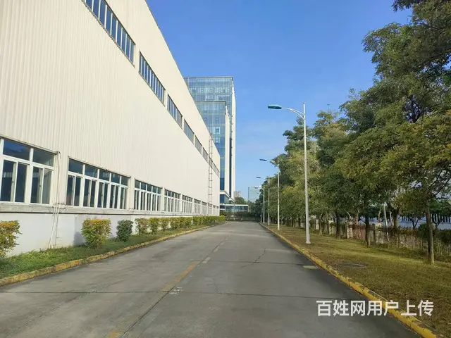 16米高单层钢结构厂房出租带天车 - 图片 5