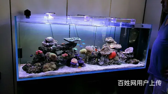 苏州哪里卖鱼缸，哪里有做鱼缸养护清洗的 - 图片 11