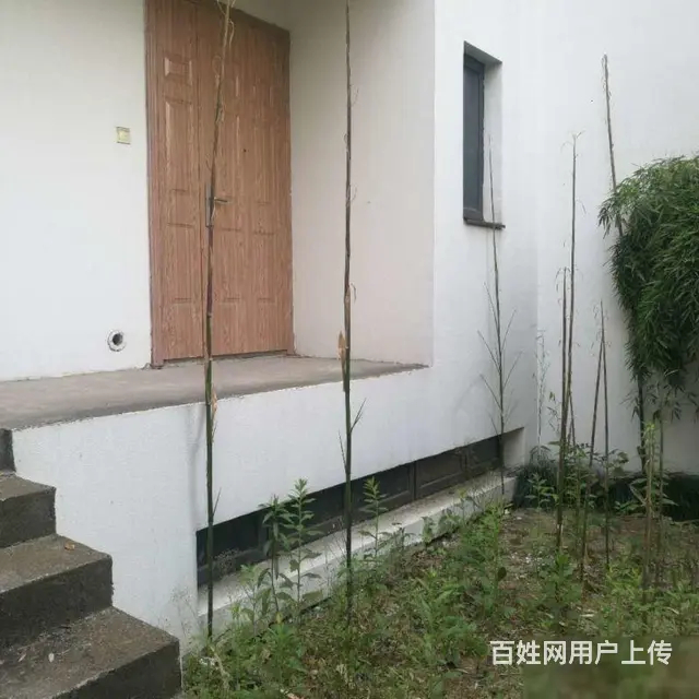恐龙园旁长兴秀江南联排别墅边户毛坯245平米南进户 - 图片 7