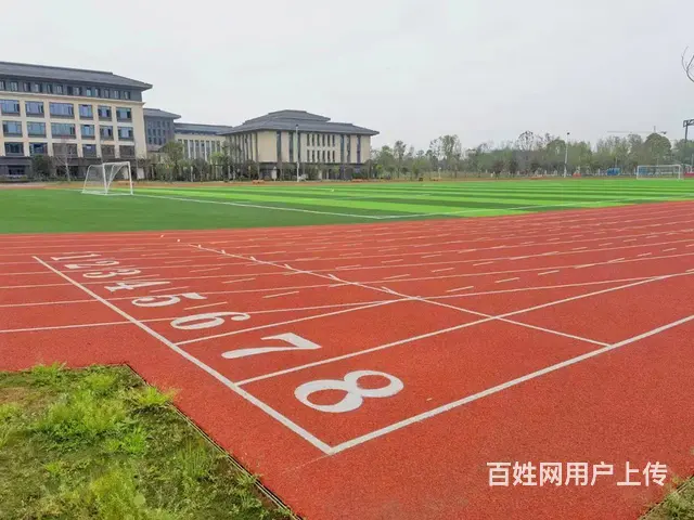 硅PU球场建设、羽毛球馆装修建设、围网灯光建设 - 图片 5
