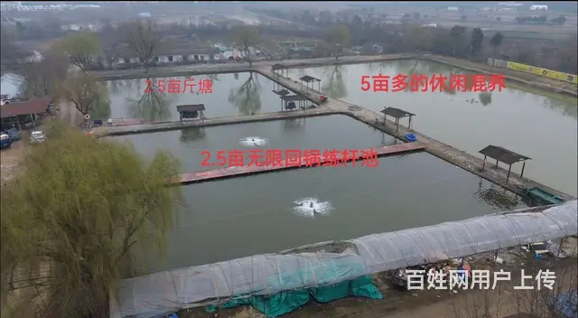 营业中12亩钓场优价急转 - 图片 2