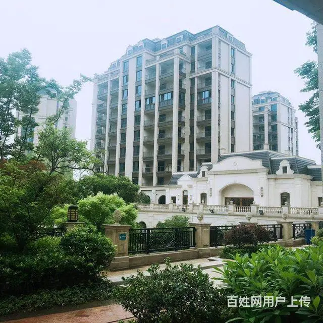 篁庭.安吉地标性建筑.三甲医院就在旁边周边多所学校 - 图片 7