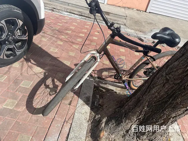 卖自行车 - 图片 2
