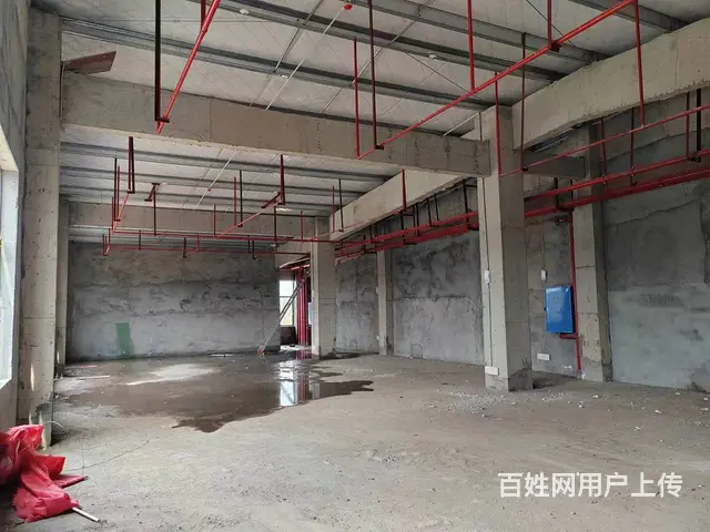 （老板本人）长沙县路口厂房仓库房东低价出租（可分租）6031 - 图片 5