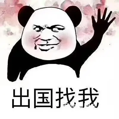 正规出国劳务工作签，包签包工作，工种多。 - 图片 5