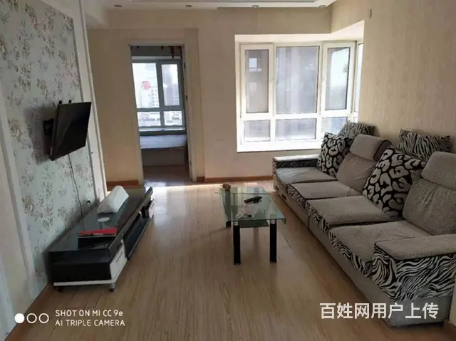 地铁房丽十二公馆(铁西) 普通住宅2厅 中等装修 - 图片 12
