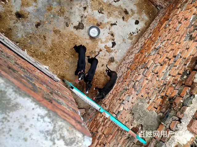 1111 - 图片 1