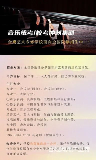 甘肃2023届音乐统考校考冲刺培训班限额招生 - 图片 1