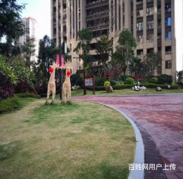 紧急出租精装修117.00平3室 - 图片 11