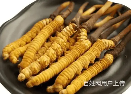 厦门湖里哪里回收冬虫夏草联系电话口碑好 - 图片 1