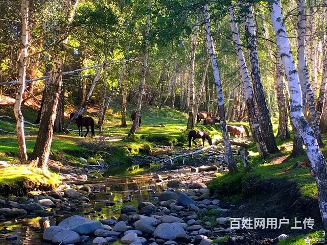 新疆旅游包车租车独立小团 - 图片 8