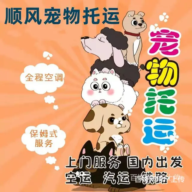 林芝宠物托运（猫狗）活体运输邮寄 （2022今日推荐） - 图片 3