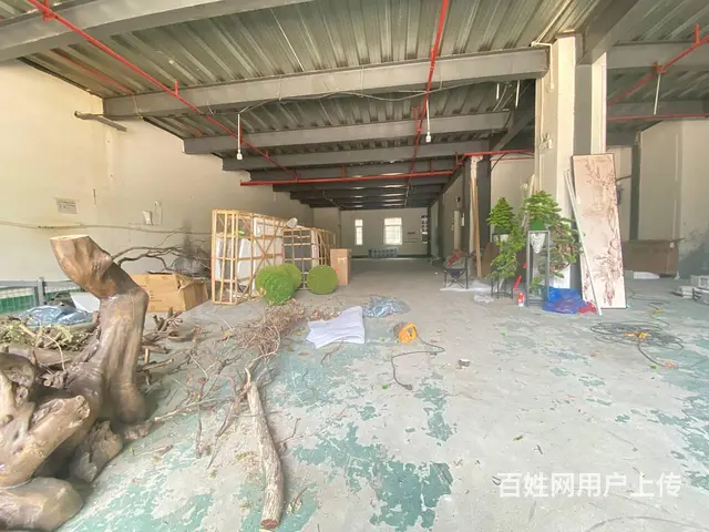 （房东直租）长沙科技新城400平厂房，仓储优价出租，有阁楼 - 图片 3