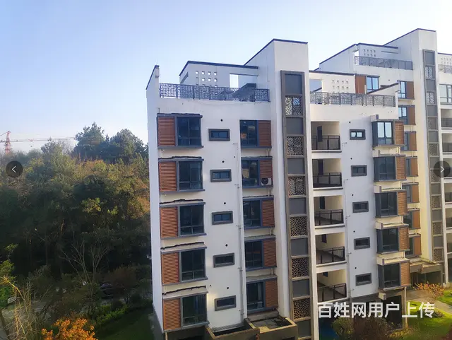 星雨华府四室两厅一厨两卫一阳台毛坯房出售 - 图片 12