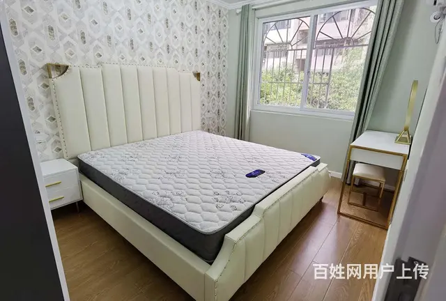 文新抢租正规高性价比好房 - 图片 5