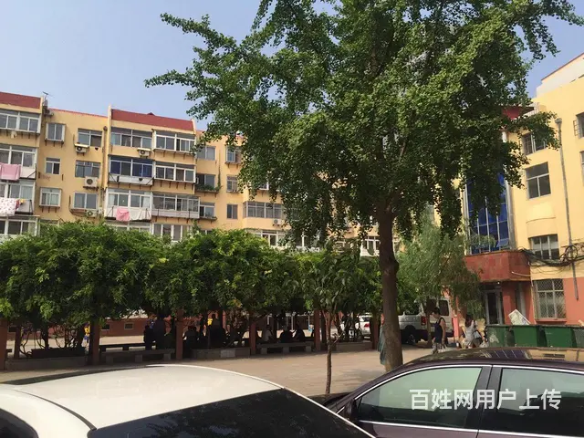 华茂小区口腔医院附近2室1厅设施全 - 图片 7
